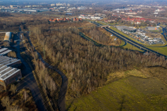 DTS_0810-Duży